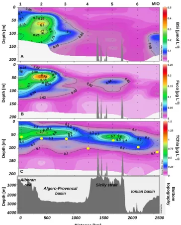 Fig. 4. Orthosilicic acid distribution (µM) during the BOUM cruise (late summer 2008).