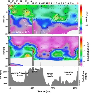 Fig. 11. Integrated biogenic silica stocks (mmol m − 2 ) over 0–