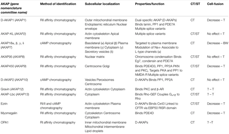 TABLE 1 | A-kinase-anchoring proteins (AKAPs) identified in trophoblasts.