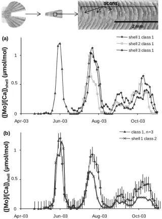 Table 1). This result underlines statistically a high repro- repro-ducibility of ([Mo]/[Ca]) shell profiles among a same scallop population