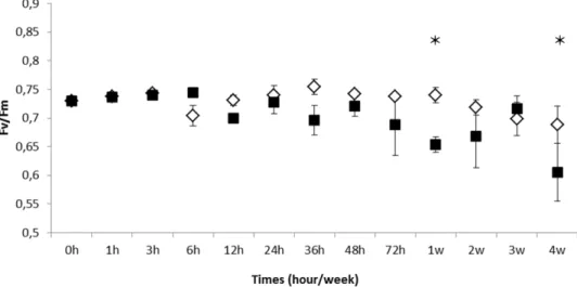 Fig 1. Photosynthesis efficiency of Fucus vesiculosus under chronic exposure to UV-B radiation during 4 weeks