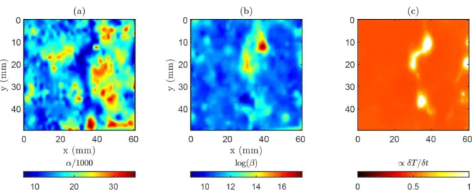 Figure  4:  Experimental  images  of  the  cracked  region.  (a)  Nonlinear  