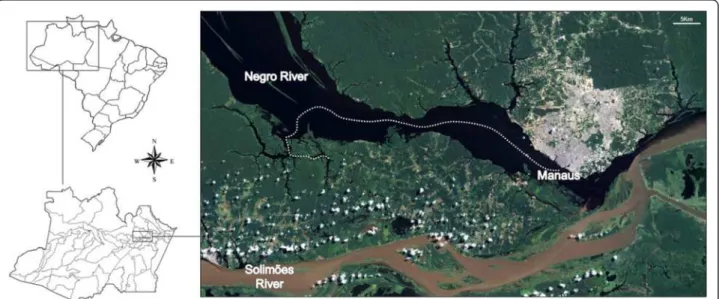 Figure 1 Location of the collections. Water samples were collected from the Negro River, which is located in the Brazilian Amazon.