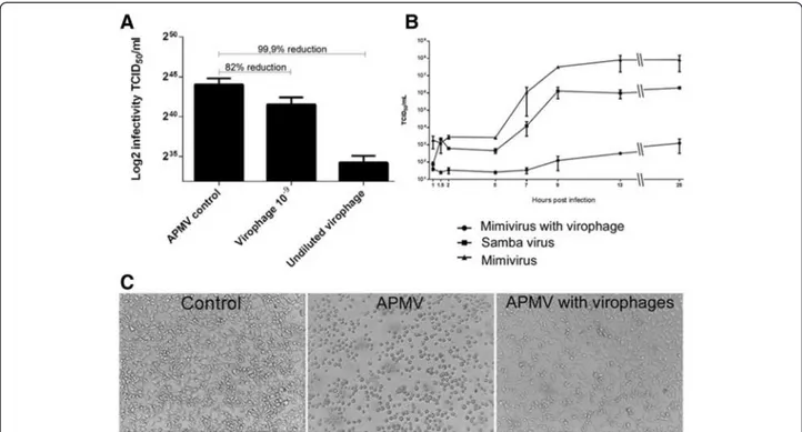 Figure 5 Reduction of viral infectivity by co-infection with virophage. Evaluation of the biological activity of virophage isolated from SMBV through viral infectivity reduction assays: A) Titration of APMV in A
