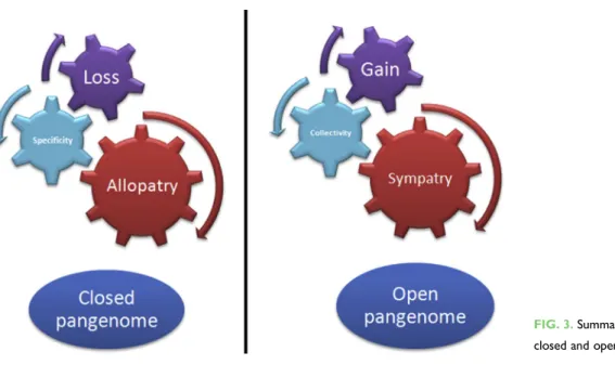 FIG. 3. Summary of the difference between closed and open pangenome.