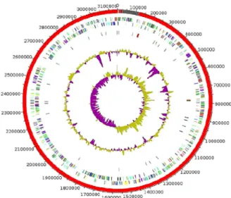 FIG. 4. Graphical circular map of chromosome. From outside to centre: Genes on forward strand coloured by COGs categories (only genes assigned to COGs), genes on reverse strand coloured by COGs categories (only gene assigned to COGs), RNA genes (tRNAs gree