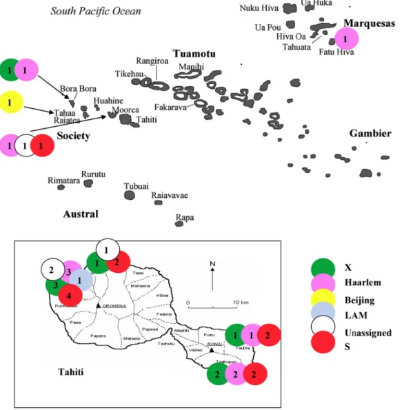 Figure 1. Geographic distribution of the 34 Mycobacterium tuberculosis isolates in French Polynesia with a focus on Tahiti Island.