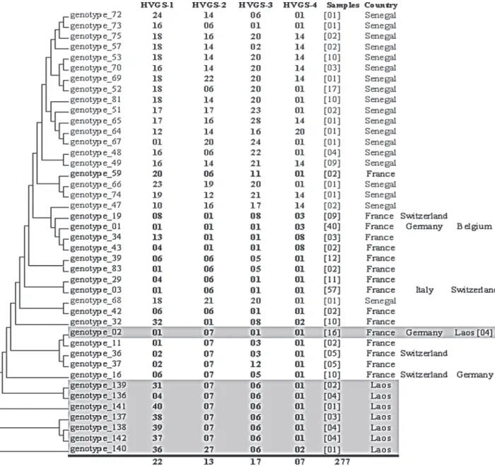 Fig 3. Genetic diversity of 42 genotypes of Tropheryma whipplei obtained from 277 samples