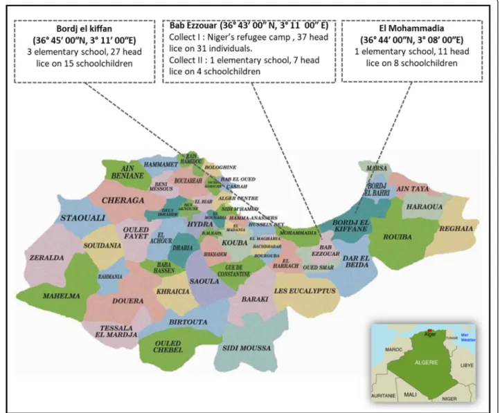 Fig. 2 Map of head lice collection on Niger ’ s refugee (migrant population) and elementary schoolchildren (non-migrant population) from three localities in Algiers, Algeria