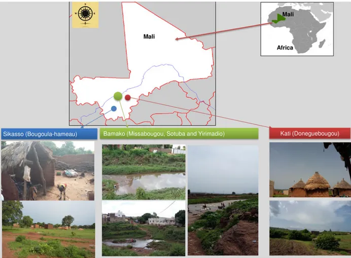 Fig. 1. Ecological patterns and geographic distribution of mosquito collection in Mali