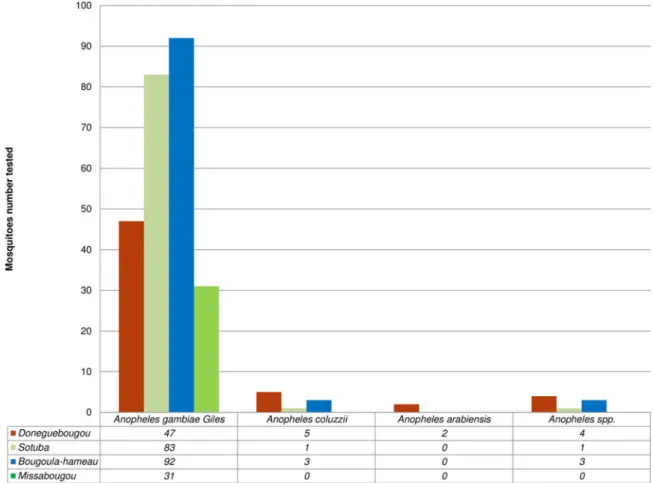 Fig. 2. MALDI-TOF MS Identification of 272 Anopheles spp. collected in Mali.