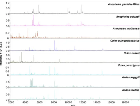 Fig. 4. Comparison of MALDI-TOF MS profiles of eight mosquito species collected in Mali