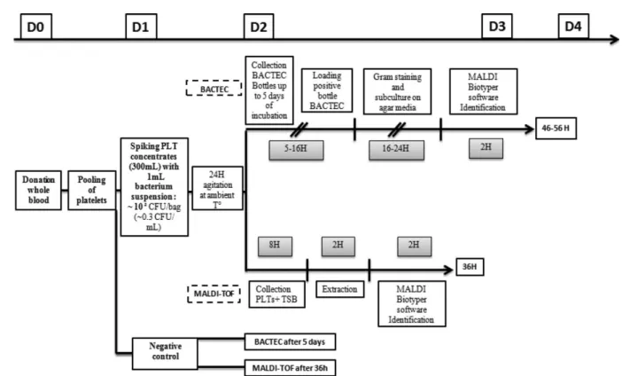 TABLE 1. Specificity and sensibility of the MALDI- MALDI-TOF method*