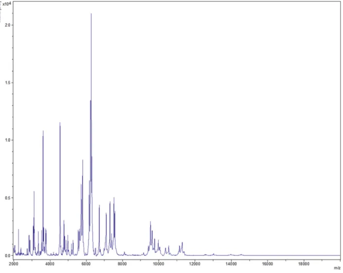 FIG. 1. Reference mass spectrum from Mediterranea massiliensis strain Marseille-P2645.