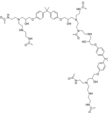 Fig. 3. Epoxy-paint (DGEBA/PAA) structure.