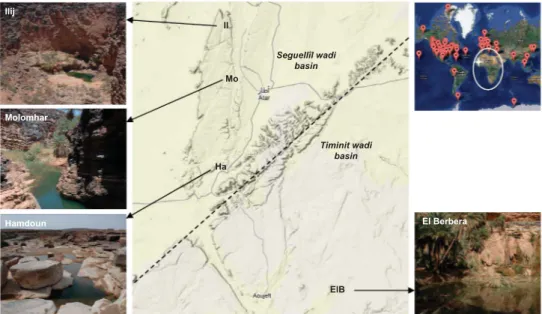 Figure 1 Geographic localization and pictures of the samp ling sites. Central: A Google Earth map of the Adrar region showing mountains (gray) and sandstones (yellow)