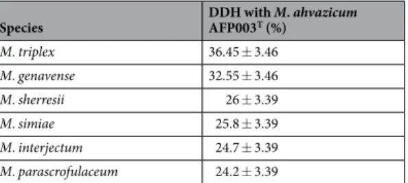 Table 6.  Comparison of M. ahvazicum AFP-003 T  with related mycobacteria species using GGDC, formula 2  (DDH estimates based on identities/HSP length.