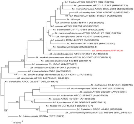 Figure 3.  Graphical circular map of the chromosome of M. ahvazicum strain AFP-003 T 