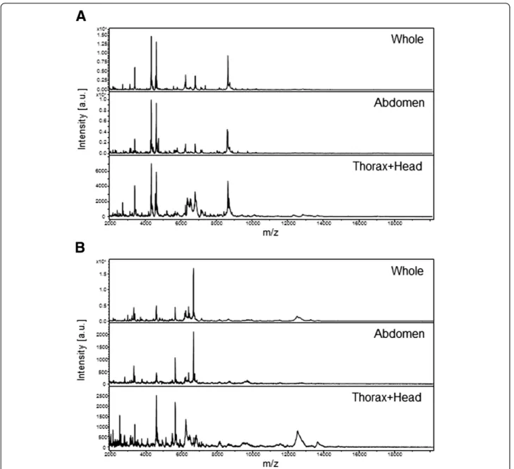 Figure 1 Comparison of MALDI-TOF MS spectra of whole specimens or body parts of mosquitoes at the L3 stage ranging from 2 to 20 kDa