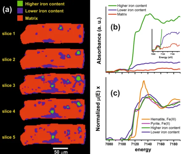 Figure 6. (a) Spatial distribution of the higher and lower iron content regions, and the matrix region, and (b)  the average XANES spectra these three regions