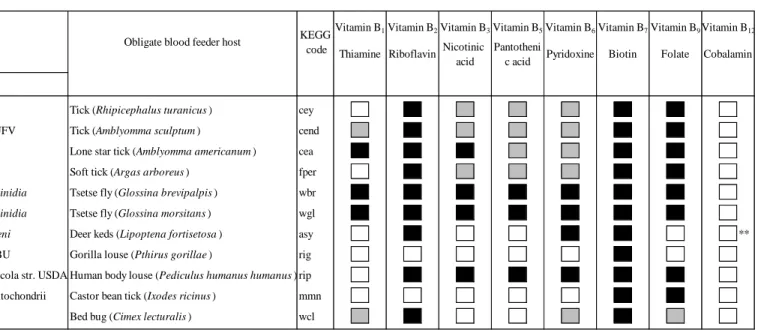 Table 1. Biosynthetic pathways for B vitamins in 11 KEGG curated *  genomes of symbionts associated with OBF