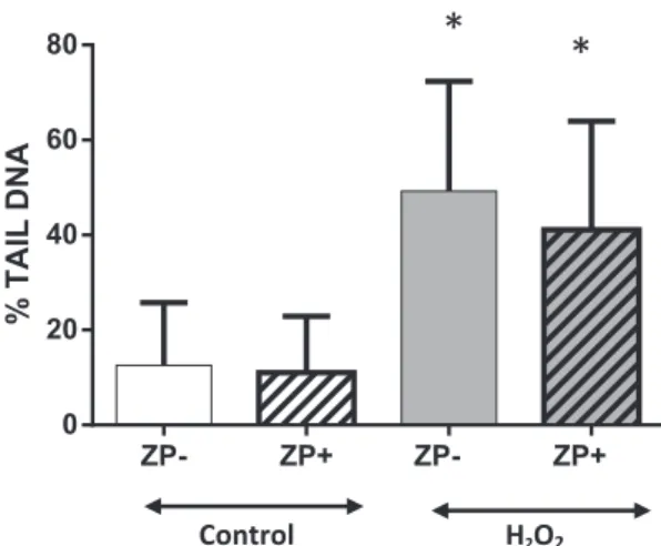 Fig. 1. No impact of zona pellucida for 2-cell embryo comet assay. ZP−: zona-free em- em-bryo; ZP +: intact emem-bryo; H 2 O 2 : exposure to hydrogen peroxide (220 μM H 2 O 2 )