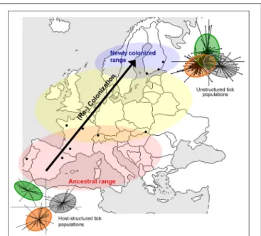 FIGURE 2 | Schematic representation of population expansion of Ixodes ricinus (arrow) and hypothesized consequences for host-associated genetic structure