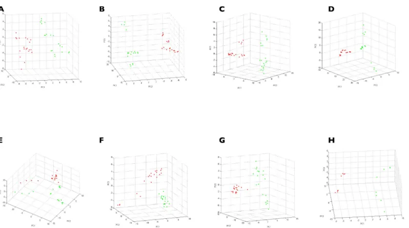 Fig 3. MSP dendrograms of MALDI–TOF MS spectra from legs (A) and half–idiosoma (B) of ticks