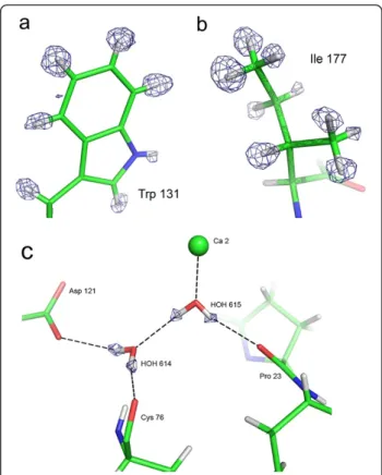 Figure 1 View of hydrogen atoms in the X-ray structure. (a) Fixed H atoms: Trp 131 side-chain