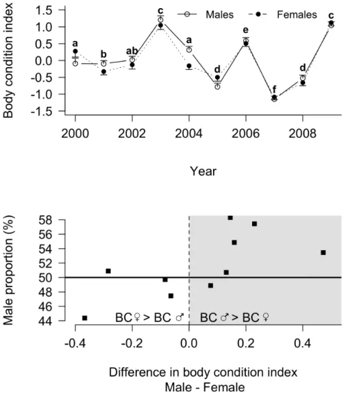 Figure 4. Yearly changes in male and female fledging body condition (BC; panel A) and yearly sex ratio at fledging according to fledging BC difference between males and females (panel B) in king penguins.