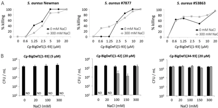 FIG 4 Cg-BigDef1 antimicrobial activity is stable at high salt concentrations. (A) Effect of NaCl (0 and 300 mM) on the bactericidal activity of various concentrations of Cg-BigDef1[1–93] against laboratory S