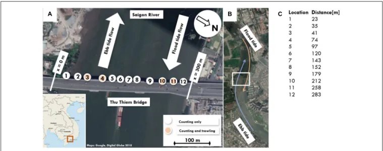 FIGURE 2 | (A) Measurement location and observation sites on the Thu Thiem bridge. Note that the observation sites run from 1 (south) to 12 (north)