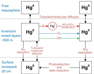 Table 1. Major assumptions and simplifications made in the mercury model.