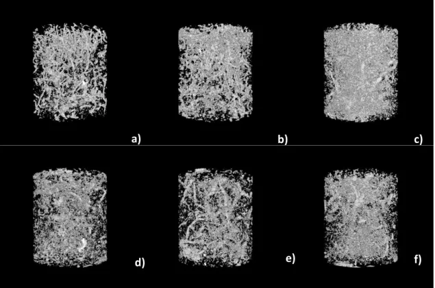 Fig. 2.  3D-macropore network determined via X-ray computed tomography in intact soil cores collected from  vine  rows  of  the  organic  (a–c)  and  the  integrated  kiwifruit  orchard  (d–f)