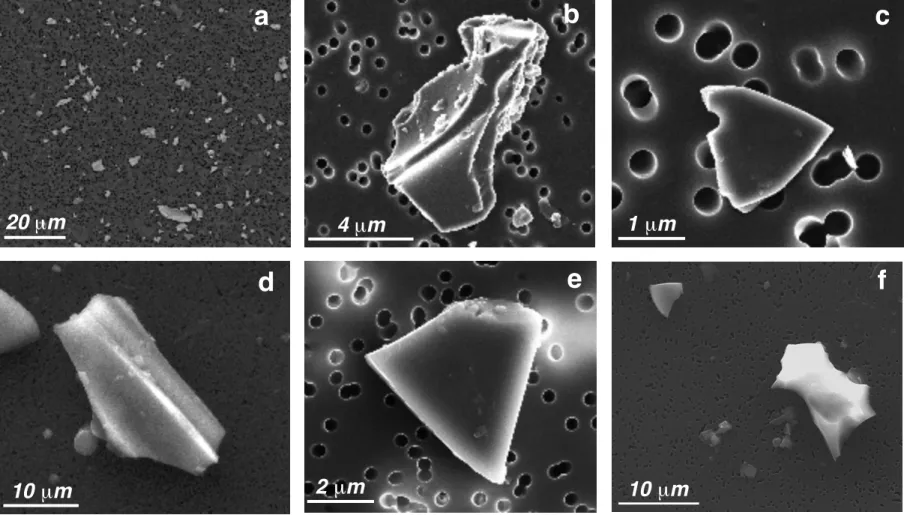 Fig. 3. Scanning electron microphotographs of volcanic glass particles from a, DC-71a; b-c, VK-14; d-e, TD87-1; f, TD86-4.