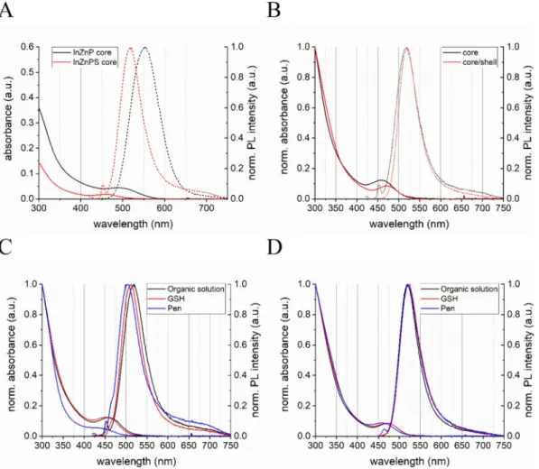 Fig. 1. Photophysical properties of InZnP and InZnPS QDs. Absorbance and normalized PL spectra of InZnP and InZnPS core QDs (A)