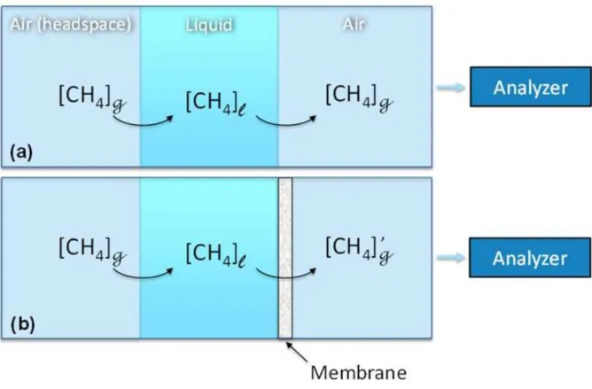 Figure 2. Schematic diagram showing the effect of a membrane for extracting dissolved  gas