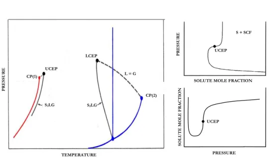 Fig. 1.  Phase diagram of a solid (2) in a supercritical fluid (1) according to Scott and van  Konynenburg