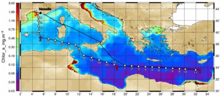 Fig. 1. Transect of the BOUM cruise superimposed on a SeaW- SeaW-iFS surface Chl-a composite image (June 2008), and location of the fourteen short (numbers) and three LD stations (letters) of the cruise sampled for N 2 fixation during the cruise.