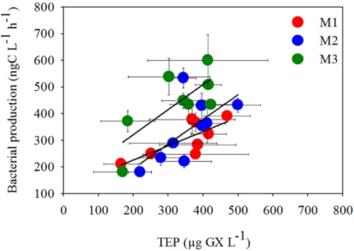 Figure 5. Relationship between heterotrophic bacterial production (BP) (ng C L −1 h −1 ) and TEP concentrations (µg GX L −1 ) during phase 2 (days 15–23) when BP increased following the enhanced PP (Van Wambeke et al., 2016), for Mesocosm 1 (M1, red dots),