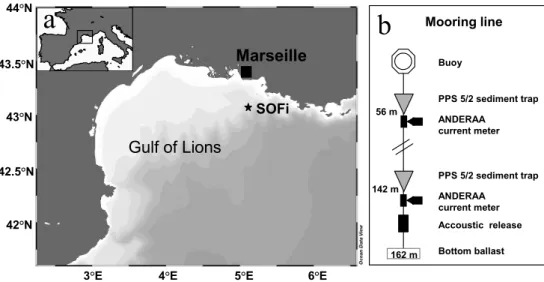 Fig. 1. (a) Study site location, (b) Schematic of the mooring line.