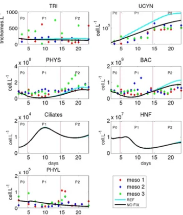 Figure 8. Evolution of C content collected in the mesocosm par- par-ticle traps (mmol C) in the REF simulation (blue line) and the NOFIX simulation (black line; i.e