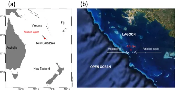 Figure 1. Study site of the VAHINE experiment. Location map of New Caledonia in the south-western Pacific (a), Map of the Noumea lagoon showing the location of mesocosms at the entrance of the lagoon, 28 km off the coast (b).