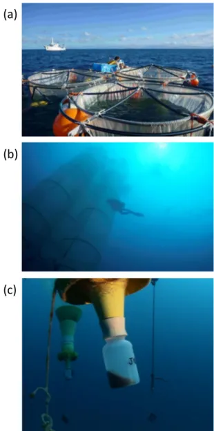 Figure 2. View of the mesocosms from above (a), from the seafloor (b) and view of the sediment traps that collect sinking particles (c).