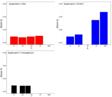 Figure 7. Atomic percent of enrichment of zooplankton in three 15 N 2 labelled diazotroph grazing experiments