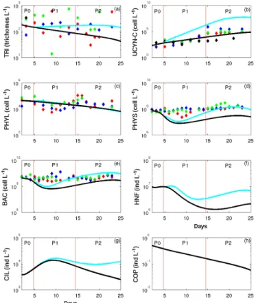 Figure 5. Patterns of change in abundances over time of (a) Trichodesmium (TRI, trichom L −1 ), (b) unicellular N 2  -fixing cyanobacteria (UCYN-C, cell L −1 ), (c) large  phyto-plankton (PHYL, cell L −1 ), (d) small phytoplankton (PHYS, cell L −1 ), (e) h