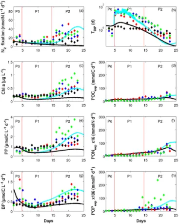 Figure 4. Patterns of change over time in (a) dinitrogen fixation (N 2 fixation) rates (nmol N L −1 d −1 ), (b) dissolved inorganic  phos-phate turnover time (T DIP , days), (c) chlorophyll a (Chl a, µg L −1 ), (d) particulate organic C exported (POC exp ,