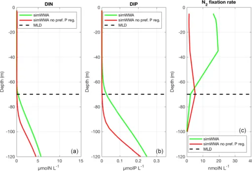 Figure 5. Vertical profiles of (a) dissolved inorganic nitrogen (DIN), (b) dissolved inorganic phosphorus (DIP), and (c) N 2 fixation rates for the simulation with diazotrophy, as a proxy of the WMA region (sim WMA ) with the preferential P regeneration (i