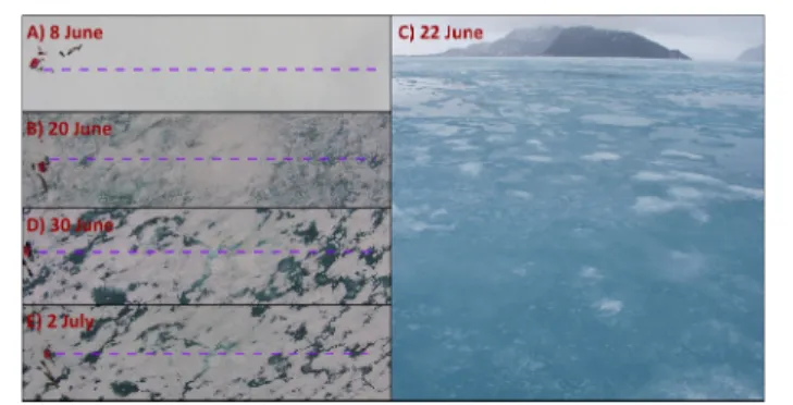 FIGURE 3 | Areal images of sea ice surface conditions along the sampling transects on (A) 8 June, (B) 20 June, (C) 22 June, (D) 30 June, and (E) 2 July, 2016