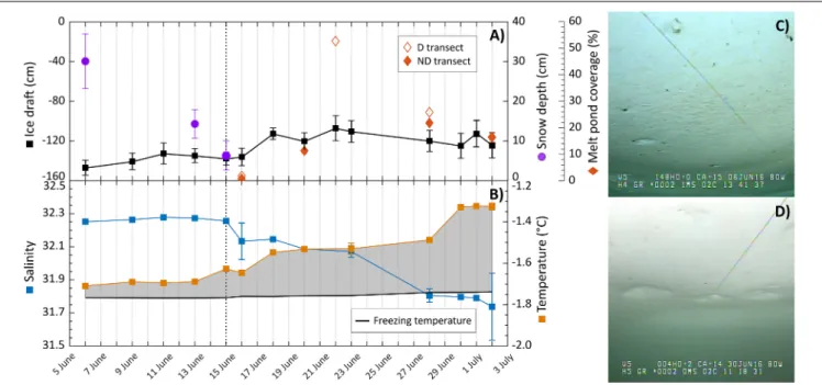 FIGURE 4 | Time series of spatially averaged (A) snow depth (purple circles, standard deviation error bars), ice draft (black squares), melt pond coverage (red diamonds), and averaged (B) surface water salinity (blue squares), surface water temperature (or